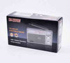 Radio przenośne SN-12012W