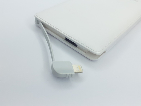 Powerbank 16 000 mAh Lightning microUSB