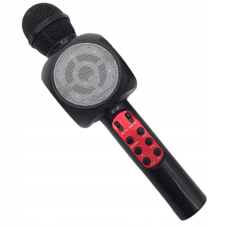 MIKROFON KARAOKE BLUETOOTH dla DZIECI Echo Efekt