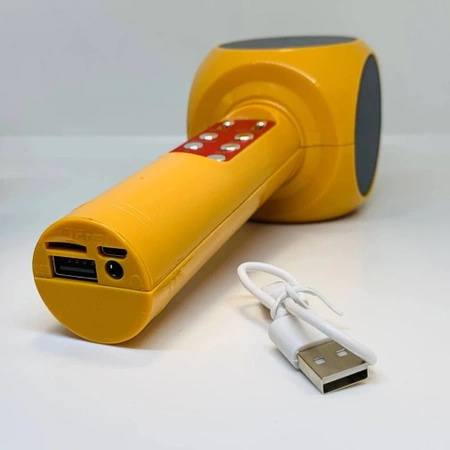 MIKROFON KARAOKE BLUETOOTH dla DZIECI Echo Efekt