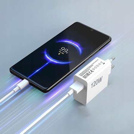 Ładowarka sieciowa 120W  USB plus kabel USB do USB-C