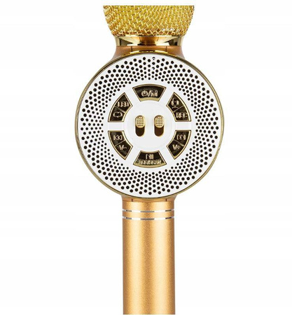 MIKROFON KARAOKE BLUETOOTH dla DZIECI FM nagrywa